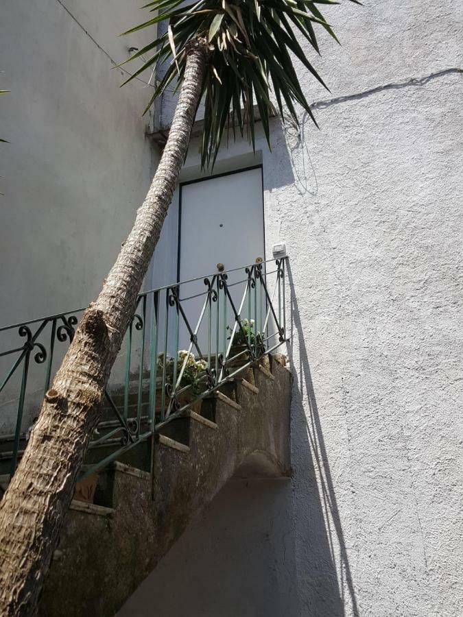 My Home Σορέντο Εξωτερικό φωτογραφία